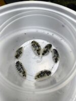 IMG_20250526_210010450_HDR_AE